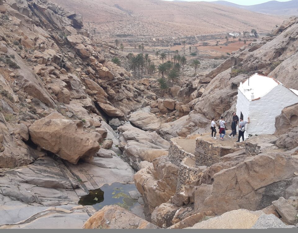 En las imágenes distintos momentos de Ecos del Verano