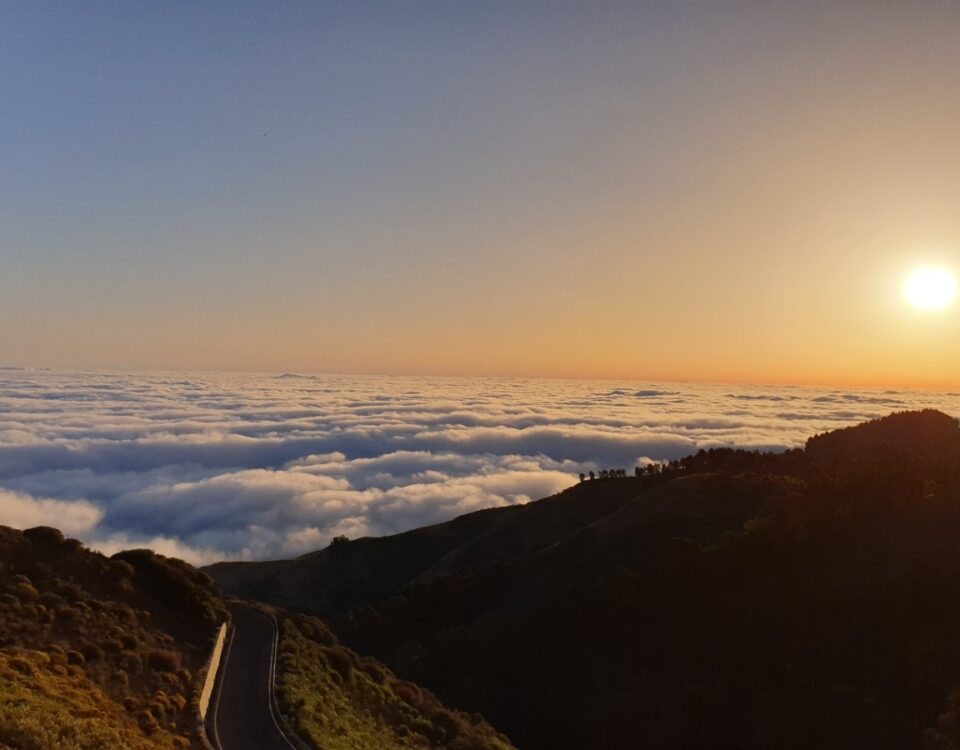 En las imágenes distintos momentos de Ecos del Verano